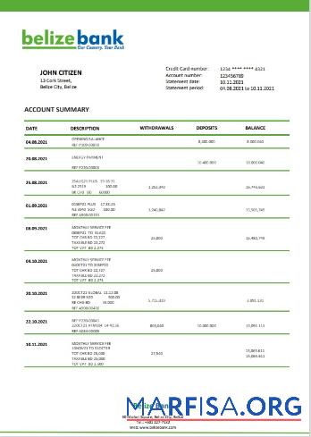 Blank Belize bank statement word example